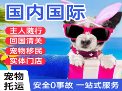 张家界荷花航空托运国际宠物托运 【国
